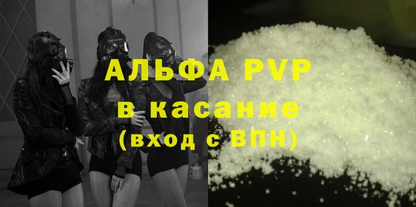 хмурый Алзамай