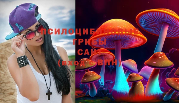 хмурый Алзамай