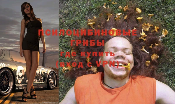 хмурый Алзамай