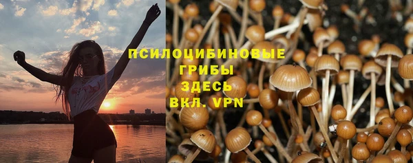 винт Алексин