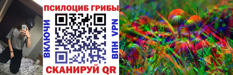 блэк спрут вход  Краснообск  Псилоцибиновые грибы GOLDEN TEACHER 